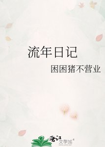《流年日记》