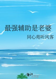 《最强辅助是老婆》
