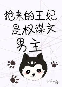 《抢来的王妃是权谋文男主》