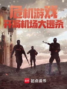 《危机处理游戏》