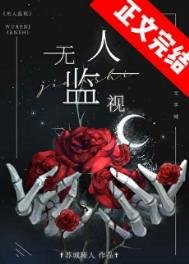 《无人监视》