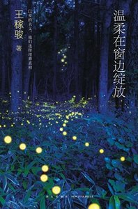 《温柔在窗边绽放(出书版)》