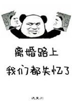 《离婚路上,我们都失忆了》