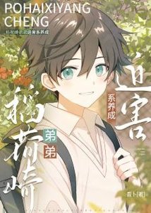 《(综漫同人)稻荷崎弟弟迫害系日常》