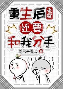 《重生后老婆还要和我分手》