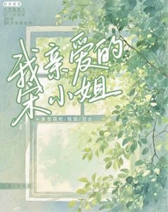 《我亲爱的宋小姐》
