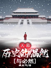 《天幕:历史的偶然与必然》