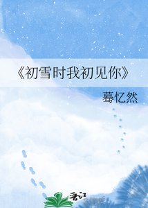 《初雪时我初见你》