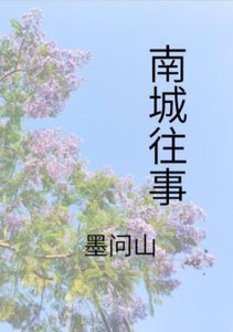 《南城往事》