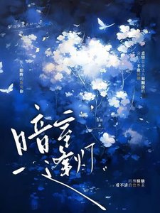 《暗室逢灯》