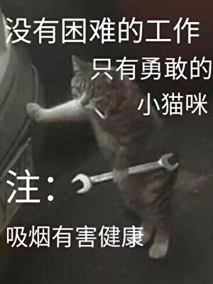 《无限打工崽》