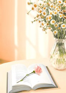 《心脏再借我用一天吧》