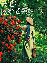 《被迫和闪婚老婆组CP》