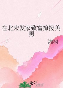 《在北宋发家致富撩拨美男》