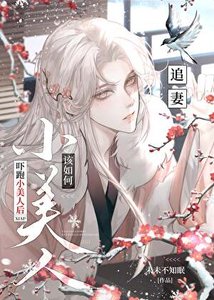 《恶毒小美人将如何上位》