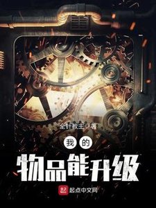 《我的物品能升级》