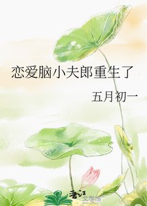 《恋爱脑小夫郎重生了》