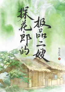 《探花郎的极品二嫂》