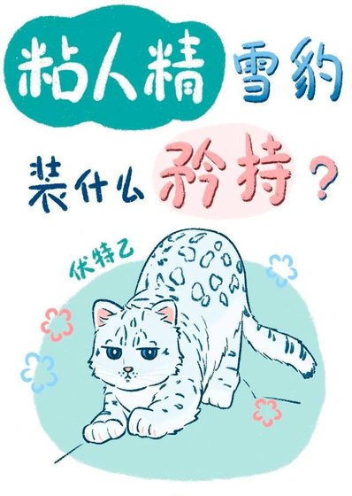 粘人精雪豹装什么矜持？