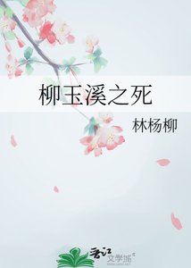 《柳玉溪之死》