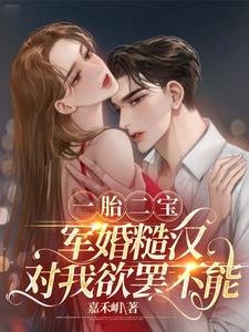 《一胎二宝,军婚糙汉对我欲罢不能》