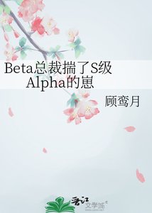 《Beta总裁揣了S级Alpha的崽》