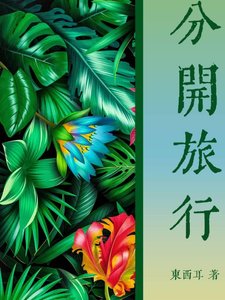《分开旅行》