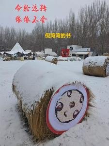 《命轮运转,依依不舍》