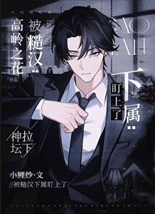 《高岭之花被糙汉下属盯上了》