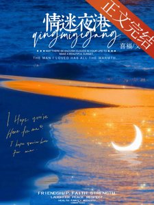 《情迷夜港》