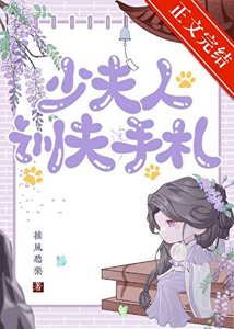 《少夫人训夫手札》