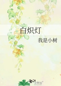 《白炽灯》