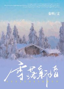 《雪落新婚》