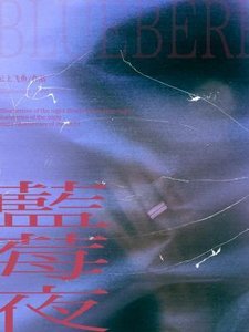 《蓝莓夜》