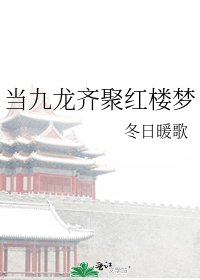 《当九龙齐聚红楼梦》