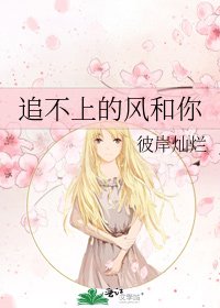 《追不上的风和你》