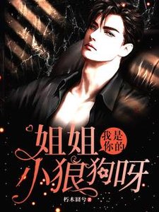《姐姐,我是你的小狼狗呀》