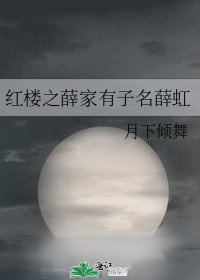 《红楼之薛家有子名薛虹》