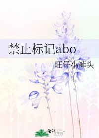 《禁止标记abo》