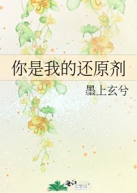 《你是我的还原剂》