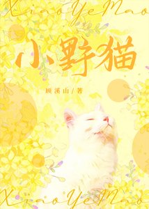 《小野猫》