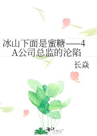 《冰山下面是蜜糖——4A公司总监的沦陷》