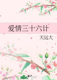 《爱情三十六计》