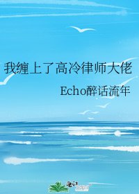 《我缠上了高冷律师大佬》