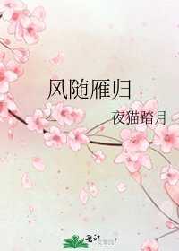 《风随雁归》