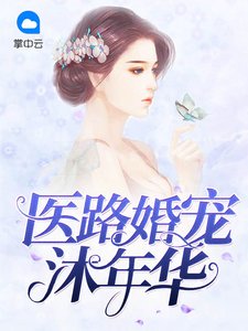 《医路婚宠沐年华》
