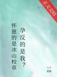 《怀崽的是清冷美人,宿敌孕反?》