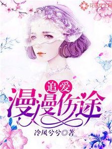 《追爱,漫漫伤途》