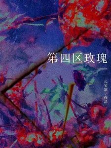 《第四区玫瑰》