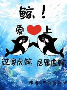 《鲸!过客虎鲸爱上居留虎鲸》